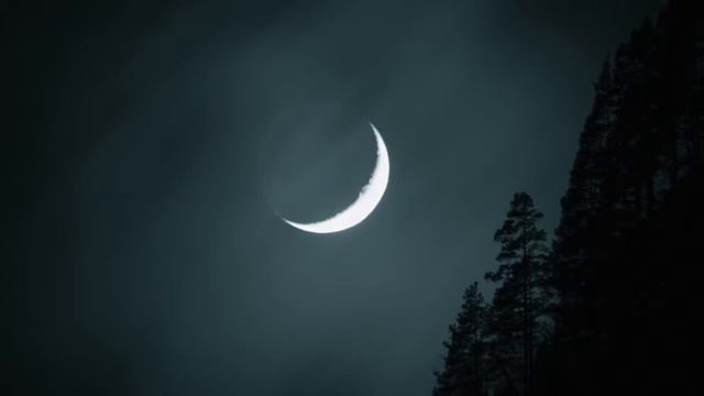 Karen Tanaka: Night Bird for Alto Saxophone and Electronics смотреть онлайн
