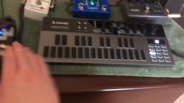 Donner B1 & Guitar Pedals (MXR Flanger, SubDecay Proteus, Heliotrope, Eccos) смотреть онлайн