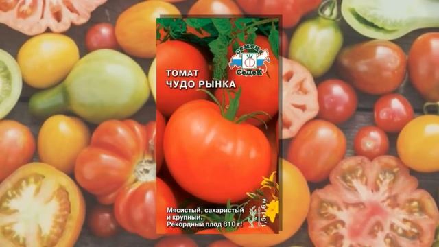 Какие томаты посеять?  Непасынкующиеся ранние и другие.