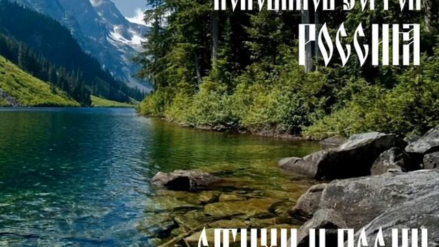 А стоит ли жить? смотреть онлайн