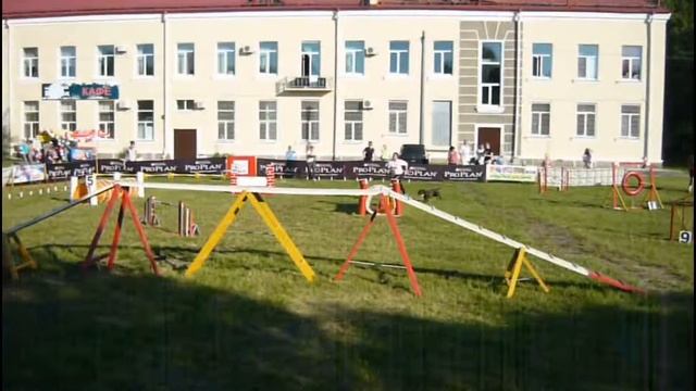 "GOOD DOG-2018" Аджилити смотреть онлайн