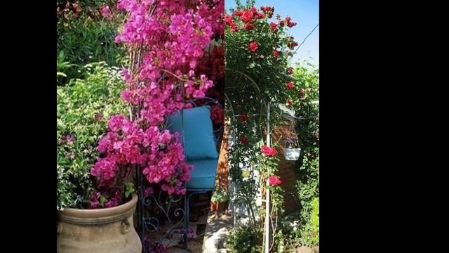 Очень красивые цветочные арки смотреть онлайн