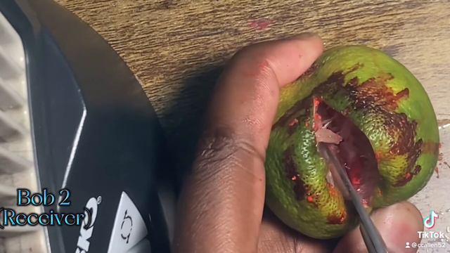 Heart transplant but with limes смотреть онлайн