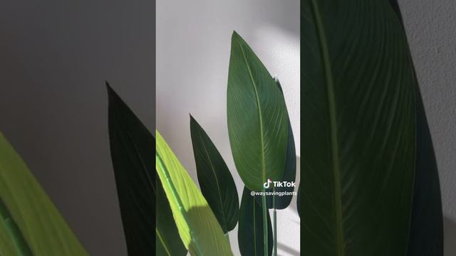 4 ft artificial plants смотреть онлайн