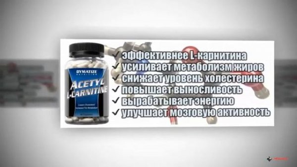 Acetyl L-Carnitine от Dymatize.