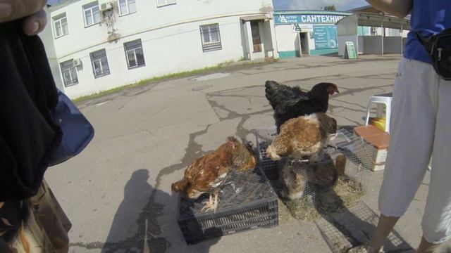 Колхозный рынок. Энгельс смотреть онлайн