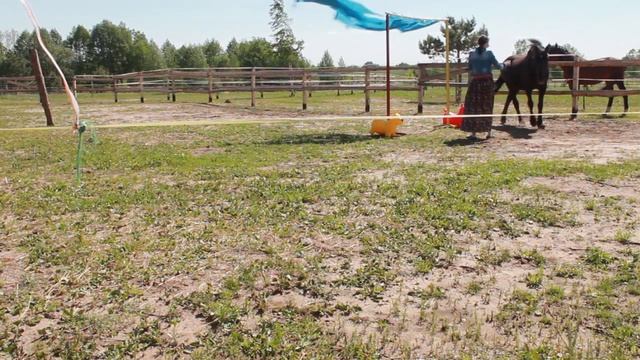 Шторка и Рома. Знакомство смотреть онлайн
