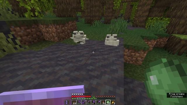 Frogs & Froglights! ▫ Minecraft 1.19 Survival Guide (Tutorial Lets Play) [S2 E108] смотреть онлайн