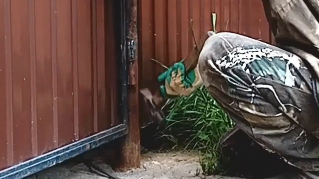Друг в беде не бросит смотреть онлайн