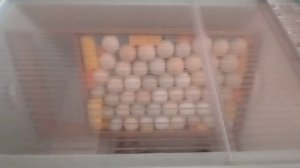 Инкубатор для лентяев | Как инкубировать легко | Обзор инкубатора матрица "дели" | блиц норма