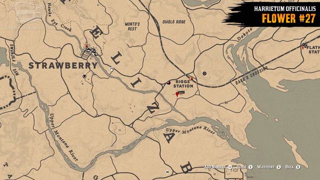 Red Dead Online - Play as an Opossum [Harrietum Officinalis] смотреть онлайн