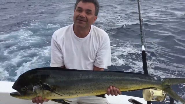 ДОМИНИКАНА РЫБАЛКА г ПУНТА КАНА АТЛАНТИЧЕСКИЙ ОКЕАН . смотреть онлайн