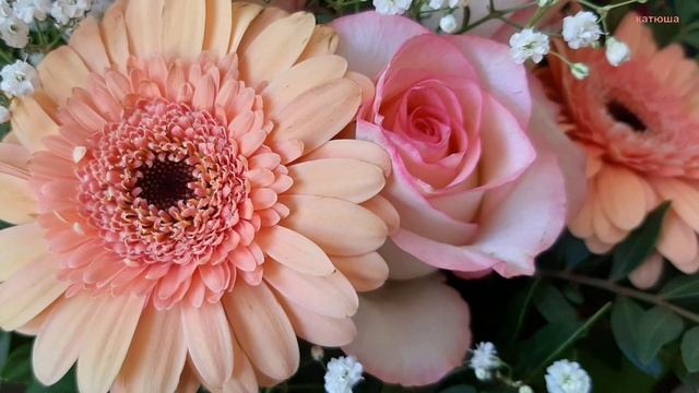 Alles Gute zum Geburstag !!!С днём Рождения Мои дорогие сестрёнки !!! смотреть онлайн