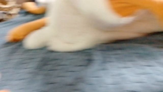 нина за вас говорящий машины против спицами собаки часть 2 смотреть онлайн