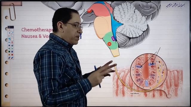 GIT Pharmacology - Lec 07 - Antiemetic Drugs смотреть онлайн