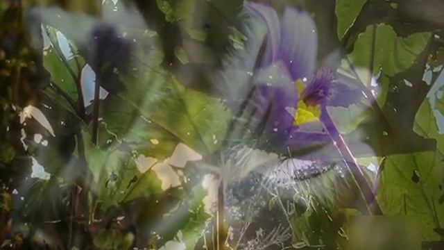 2022 10 30 Нагорная проповедь смотреть онлайн