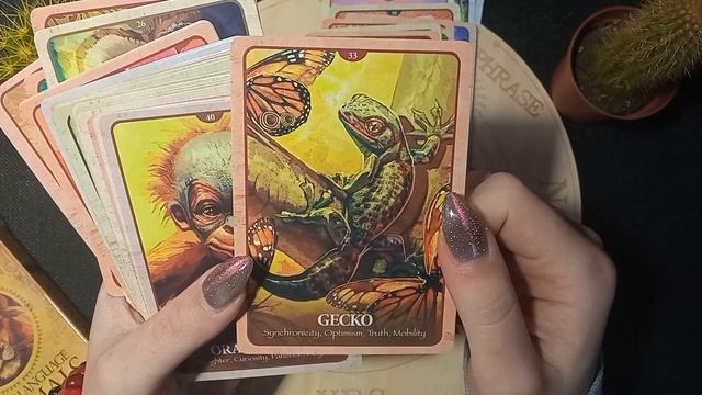 ?Карты оракула Секретный язык животных/The secret language of Animals (AliExpress). Обзор колоды смотреть онлайн