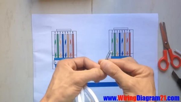 How To Make Straight Through Cable Rj45 Cat 5 5e 6 ( Wiring Diagram)