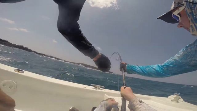 Skywalker Popping Film HR