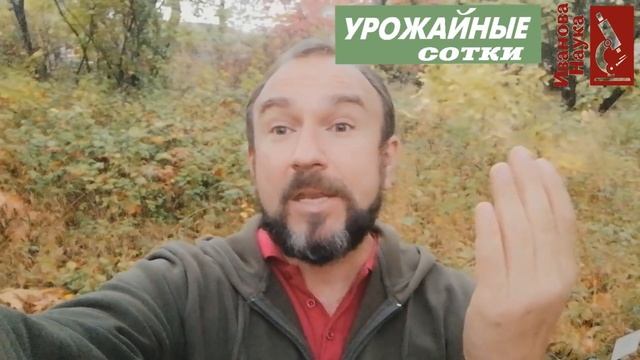 НИКОГДА не мульчируйте так чеснок и лук!
