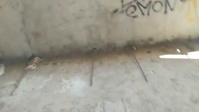 Краснодар, недостроенный морг... Забронировали места!!? смотреть онлайн