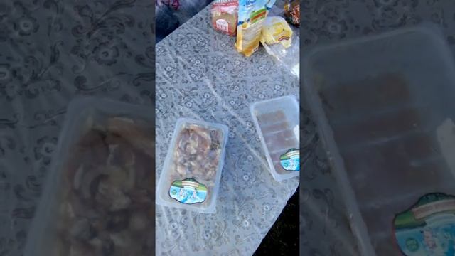 Отдых в Илейкино смотреть онлайн