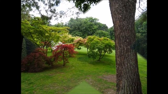 PARCO SIGURTA' смотреть онлайн