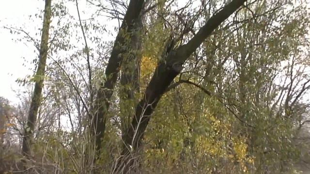 Перелётная птица jesien смотреть онлайн