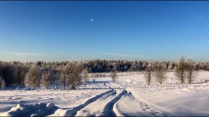 #77. Каким был 2021... Новогодний розыгрыш. [Жизнь на своей земле]