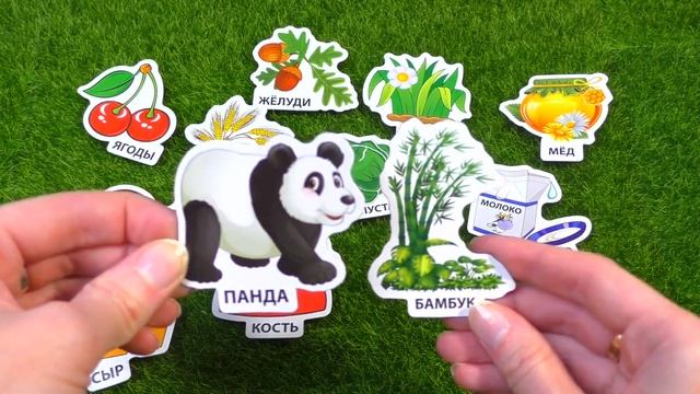 Развивающая игра видео для детей 