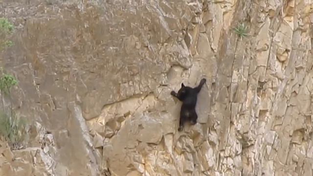 Сура Ад-Духа смотреть онлайн