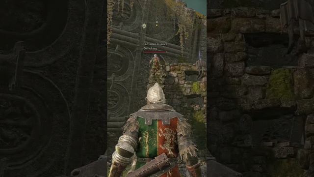 ЗапрыгнулElden Ring