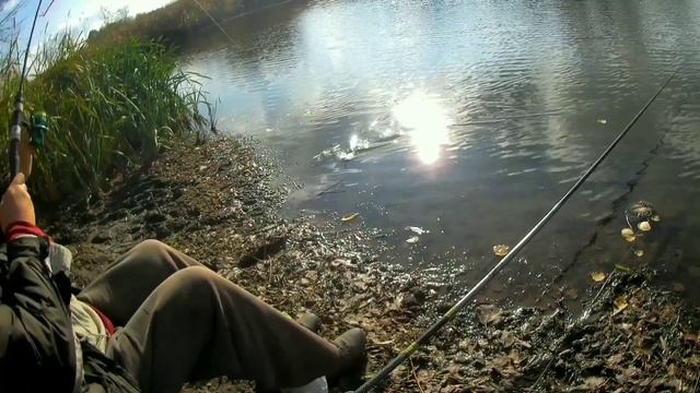 Осенний клёв карася продолжается смотреть онлайн