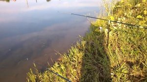 сигнализатор поклёвки