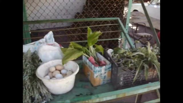 Заработок на своем участке. 1 часть. Ранние овощи смотреть онлайн