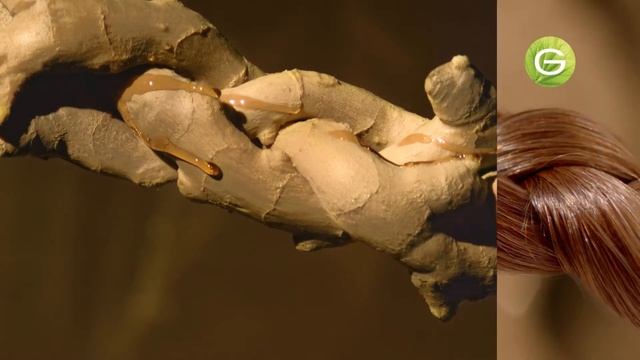 Botanic Therapy Ginger Recovery ingverijuure ja meega смотреть онлайн