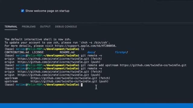 Twindle: how to make the "second" PR? (from your local repo/machine) смотреть онлайн