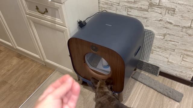 не ОЦЕНИЛ РОСКОШЬ и прогресс МИТЯ - выставляю 