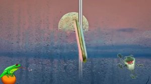 Три желания.  Лягушка.