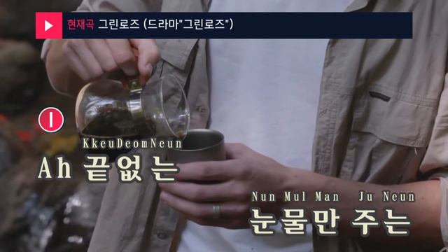 그린로즈(Green Rose) (드라마