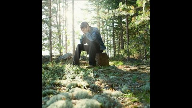 Сергей Русских СеВеР. Матушка тайга. смотреть онлайн