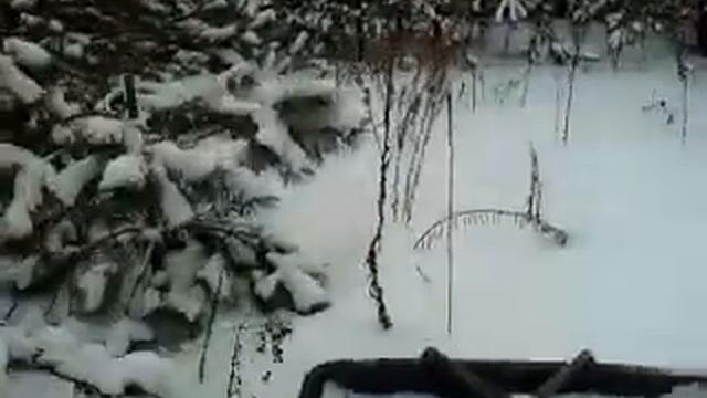 Барс напрямик смотреть онлайн