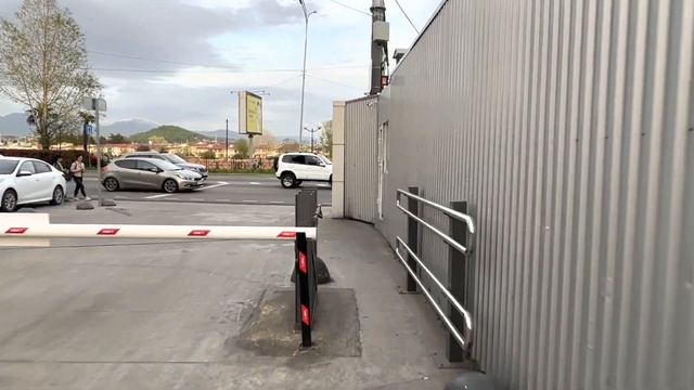 АДЛЕР 2023 / ВЕСНА / МОЛОКОВА НОВЫЙ ВЕК МАНДАРИН / ЗАКАТ СОЧИФОРНИЯ