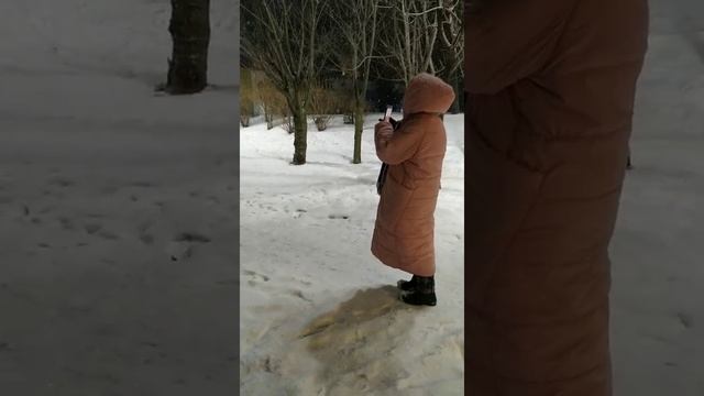 Киев.Пейзажная аллея. смотреть онлайн