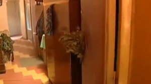 Осторожно,Модерн 2 Прапорщик на грани