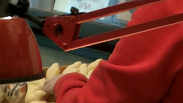 Раскраска марципановых фигурок смотреть онлайн