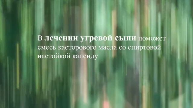 Как касторка омолаживает кожу и убирает веснушки. Презентация. смотреть онлайн