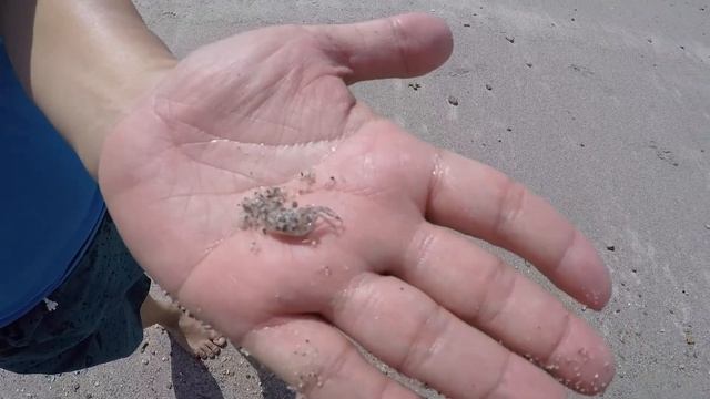 Allisa Resort - Anyer Beach West Java Indonesia [ GoPro ] смотреть онлайн