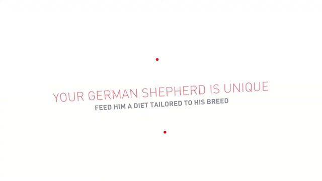Royal Canin German Shepherd Adult Dry Dog Food смотреть онлайн