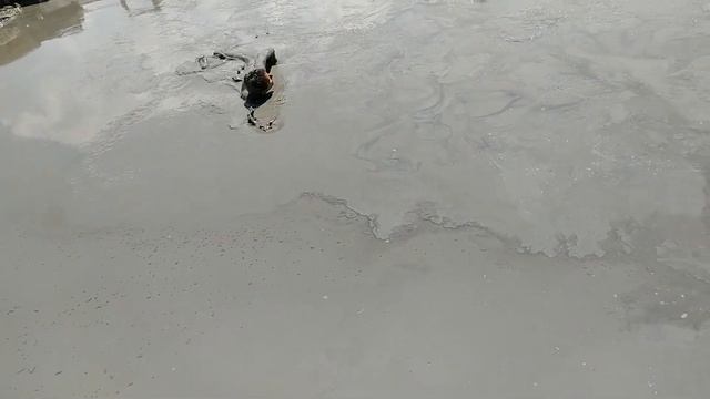 Грязевой ВУЛКАН ШУГО смотреть онлайн